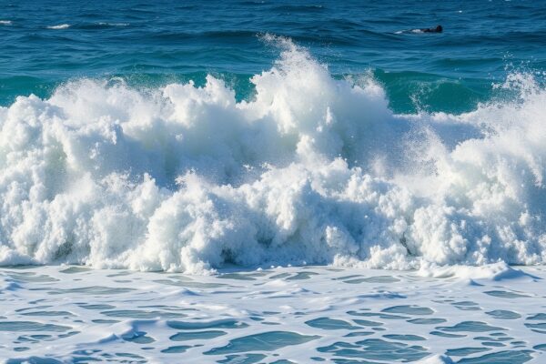 Лучшие фильмы о морских катастрофах